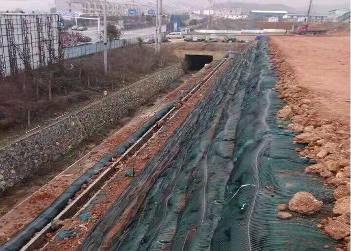 mmexport1618533777939 mmexport1618533777939