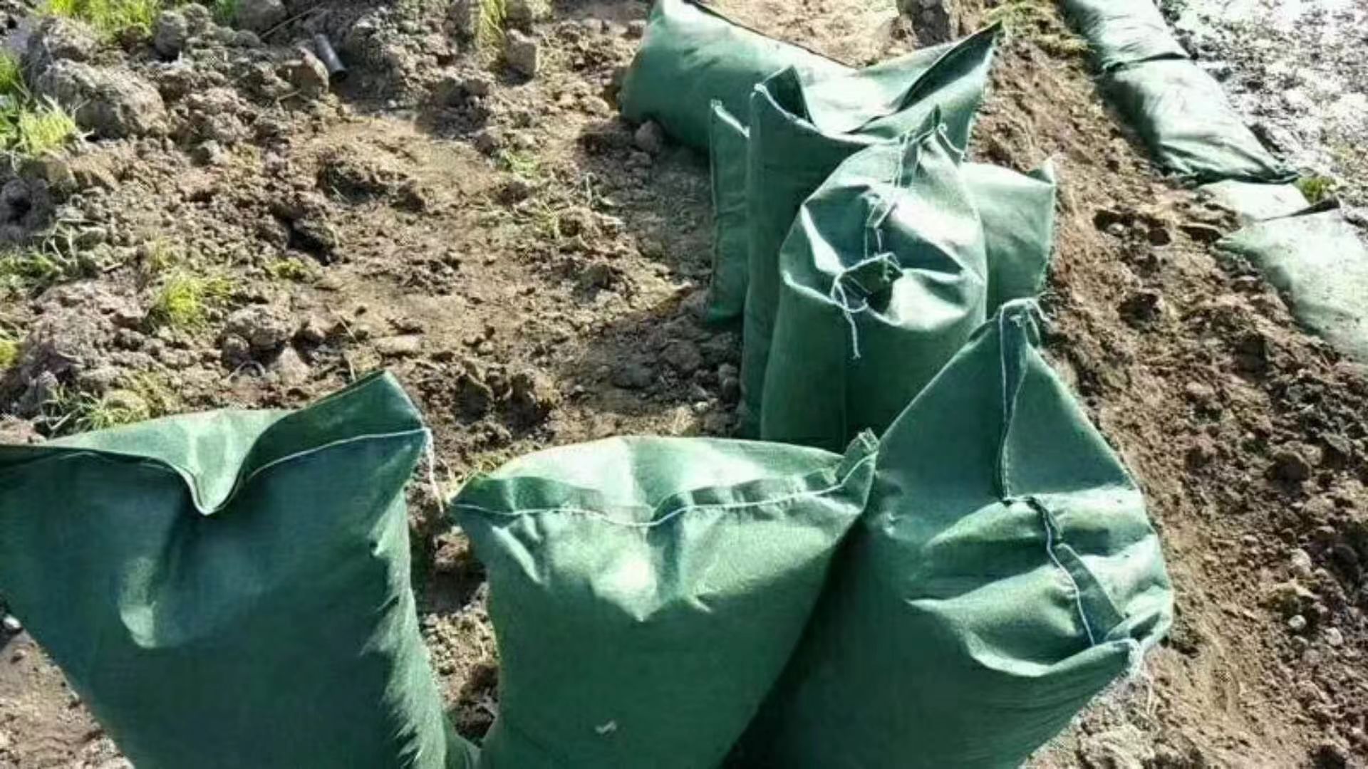 微信图片_20230216145732.jpg 微信图片_20230216145732.jpg